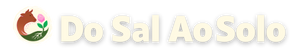 dosalaosolo.com.br