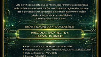 Exemplo de certificado com registro em blockchain aplicado à rastreabilidade genética no agronegócio. O QR Code integra a arquitetura do registro, mas não está ativo para consulta pública nesta visualização. A garantia de integridade, autenticidade e imutabilidade está associada ao hash registrado em blockchain, independentemente da interface de leitura.