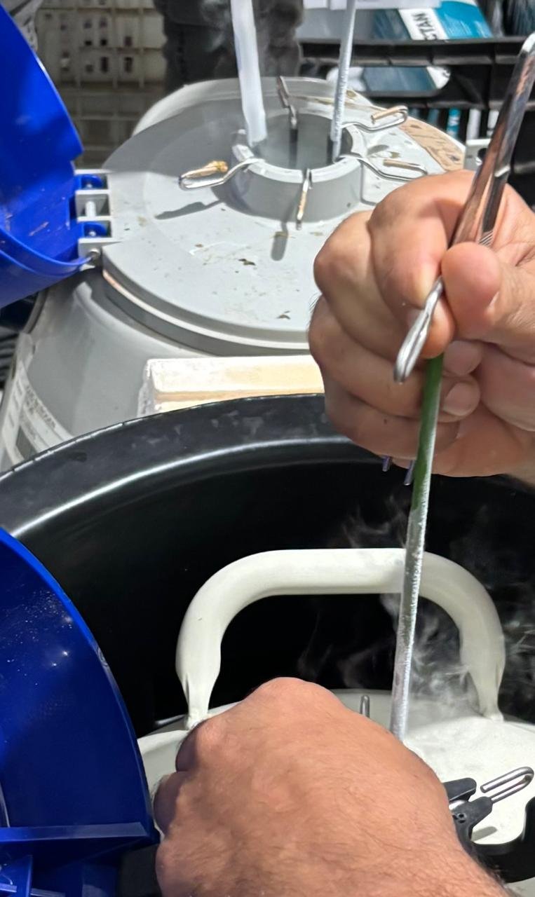 Tanque Criogênico Utilizado Para Armazenamento Seguro De Sêmem Embriões.