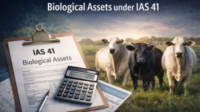 O Que E Um Ativo Biologico Segundo A Ias 41 E Por Que Isso Importa Para O Agro