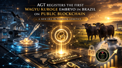 Agt Registra Primeiro Embrião Wagyu Kuroge Do Brasil
